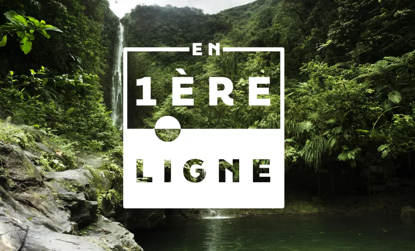 © Nathalie Guyon / FTV En 1ère ligne - Guadeloupe