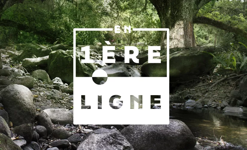 © Nathalie Guyon / FTV Header En 1ère ligne Martinique