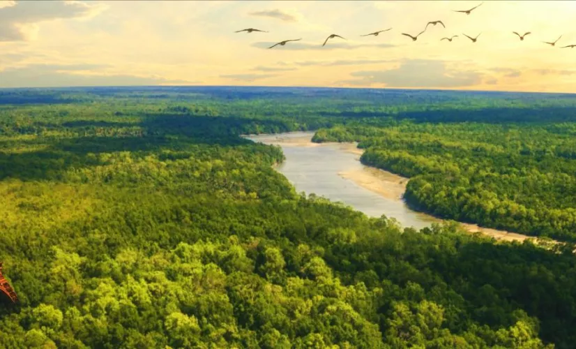 France le fabuleux voyage Pour cette soirée événement à l’occasion de la Fête de la Science, le réseau La 1ère vous propose de remonter le temps et ainsi découvrir la fabuleuse histoire naturelle de la France grâce à de spectaculaires effets spéciaux.