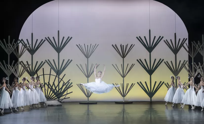 Giselle 