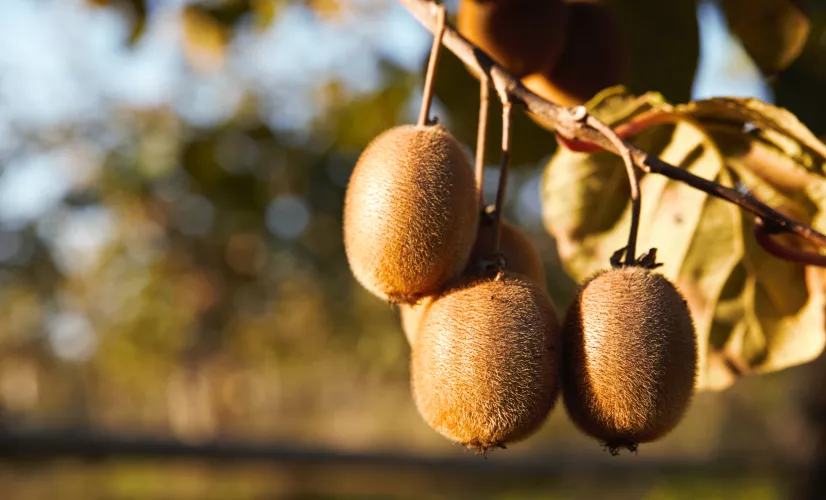 Le goût des rencontres en Nouvelle-Aquitaine 