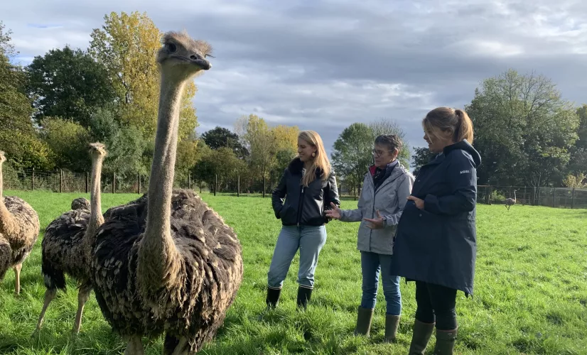Envie dehors en Mayenne 