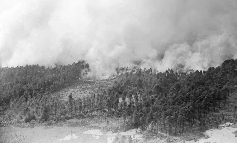 Incendies foret 1949 Incendies foret 1949