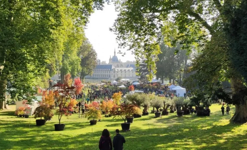 LES JARDINS DE CHANTILLY
