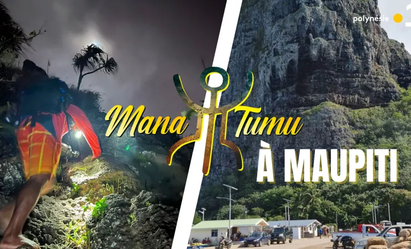 mana tumu  mana tumu