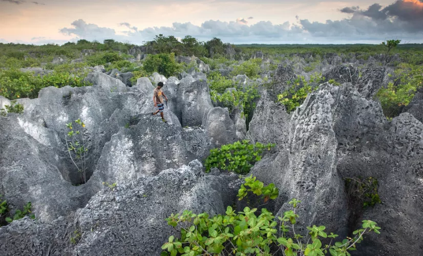 ARCHIPELS :  MAKATEA, UNE TERRE CONVOITÉE  Agriculteurs, chasseurs de crabes, cultivateurs de coprah ont pris le parti de vivre des seules ressources de cette terre unique. Une vie traditionnelle mais modeste, aujourd’hui menacée.