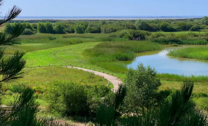 PARC DU MARQUENTERRE
