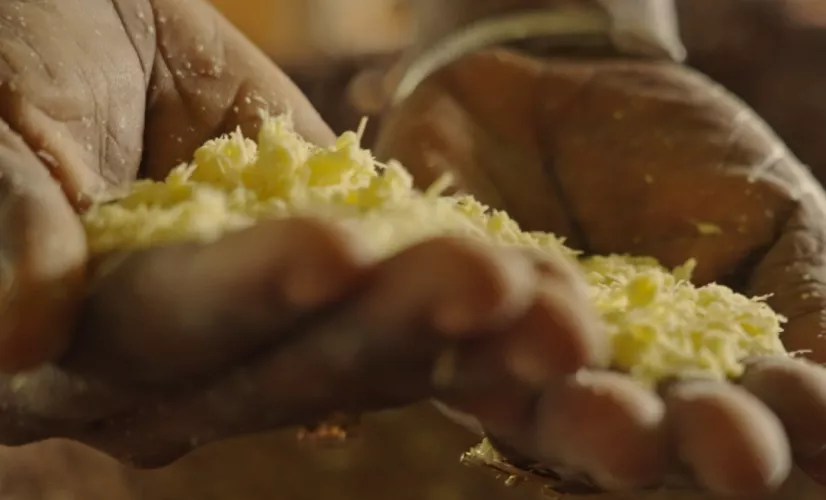 Avec Manioc et Piment ©Kreyolimages