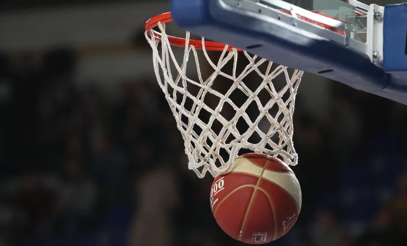 Basket Basket image maxppp usage unique Nouvelle aquitaine