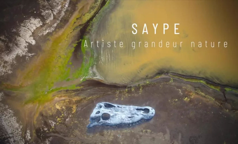 saype doc titre saype