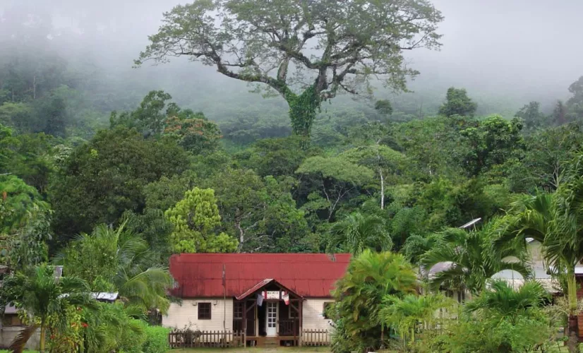 En 2022, France 3 lance la 10e édition du "Village Préféré des Français". Un concours permettant de mettre en avant 14 territoires français. Cette année, la commune de Saül, en Guyane, a été choisie pour représenter l'Outre-mer. Les votes sont ouverts...