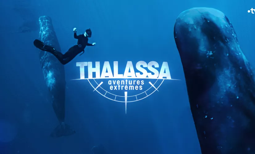 Thalassa