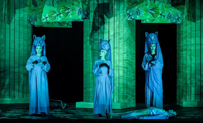 UNE PETITE FLUTE (c) VINCENT PONTET