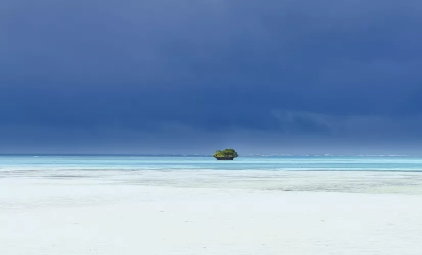 l'île des pins le dernier sanctuaire
