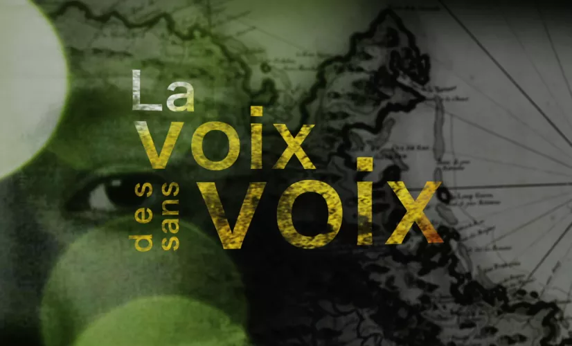 Webdocumentaire : La voix des sans voix Webdocumentaire : La voix des sans voix