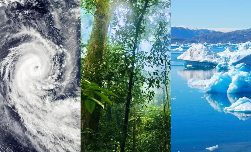 © Pixabay Urgence climatique