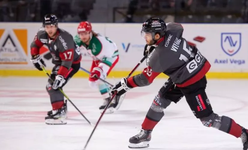 Boxers de Bordeaux Boxers de Bordeaux