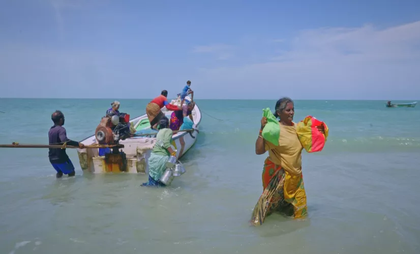 capture écran - les anges de la mer