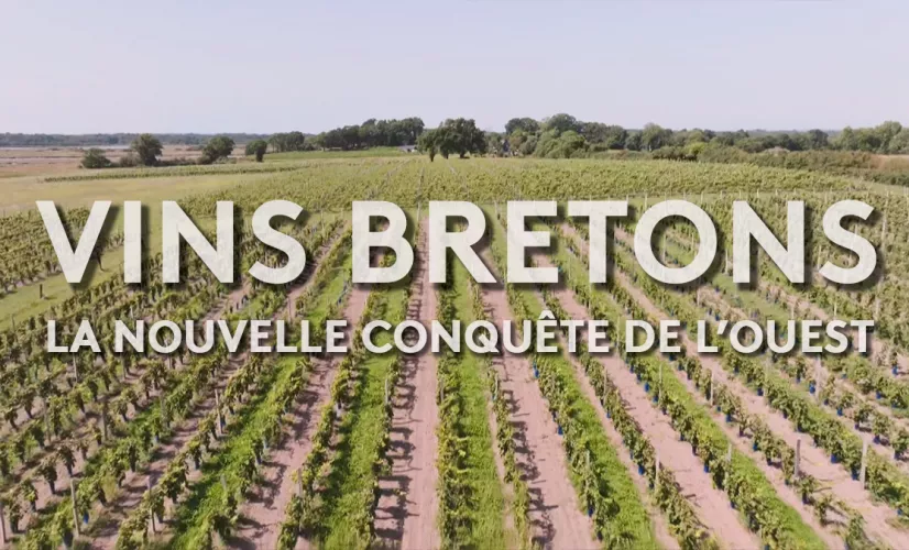 © vins bretons, la conquête de l'ouest - FTV