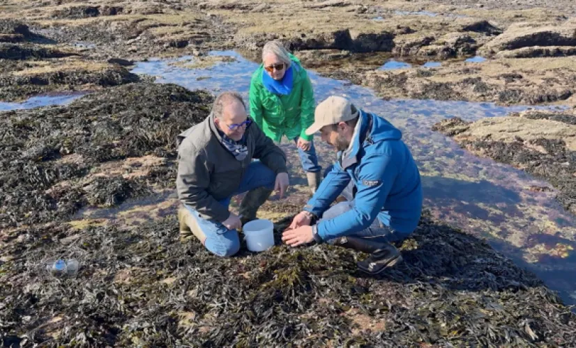 Homard & Cordon Bleu - Caroline
