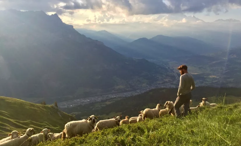 Jo berger 2.0 NA DOC Jo berger 2.0