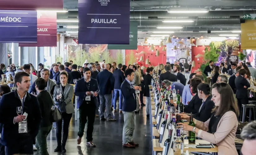 Bordeaux dégustation primeurs