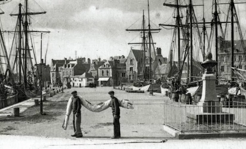 Dans le sillage des Terre-Neuvas 