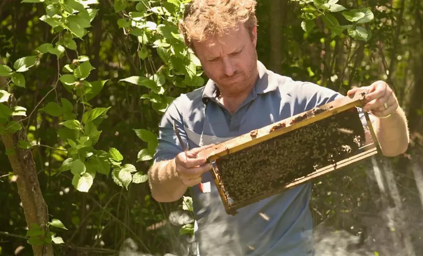L’île de La Réunion abrite une faune et une flore exceptionnelles, constituant un véritable « hotspot » de la biodiversité, avec de nombreuses espèces endémiques. Un territoire avec des espaces préservés, qui a fourni au fil des siècles une diversité d’habitats pour les abeilles. Leur capacité à polliniser les plantes fait des abeilles un atout majeur pour la flore indigène. L’abeille Apis mellifera unicolor polliniserait 40 à 70 % des plantes réunionnaises.