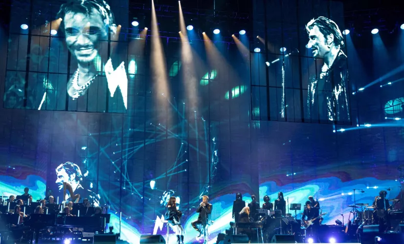 JOHNNY HALLYDAY QUE JE T' AIME