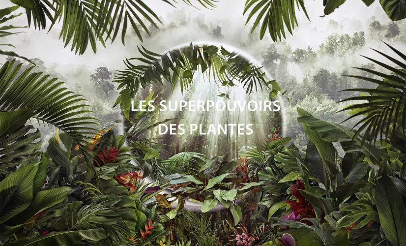 Les superpouvoirs des plantes - copyright Paul Williams Getty / BBC Studios