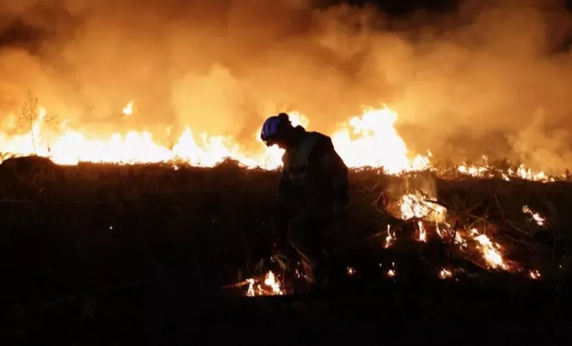 Les gardiens de la forêt des Landes Les gardiens de la forêt des Landes
