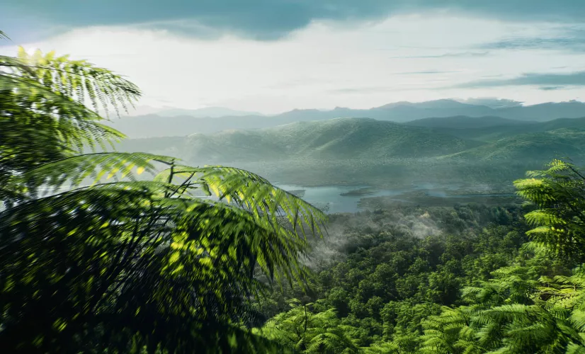 Les 5 vies de la Terre : Les plantes