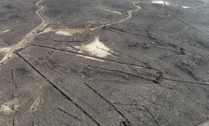 Le mystère des cerfs-volants du désert