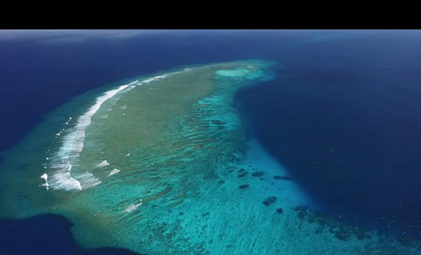 thalassa mayotte