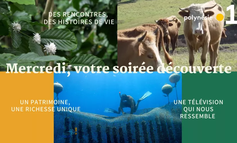 soirée découverte.jpg soirée découverte.jpg