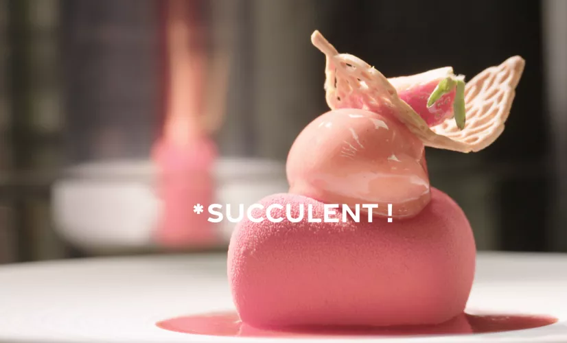 Succulent ! Fraise - crédit FTV