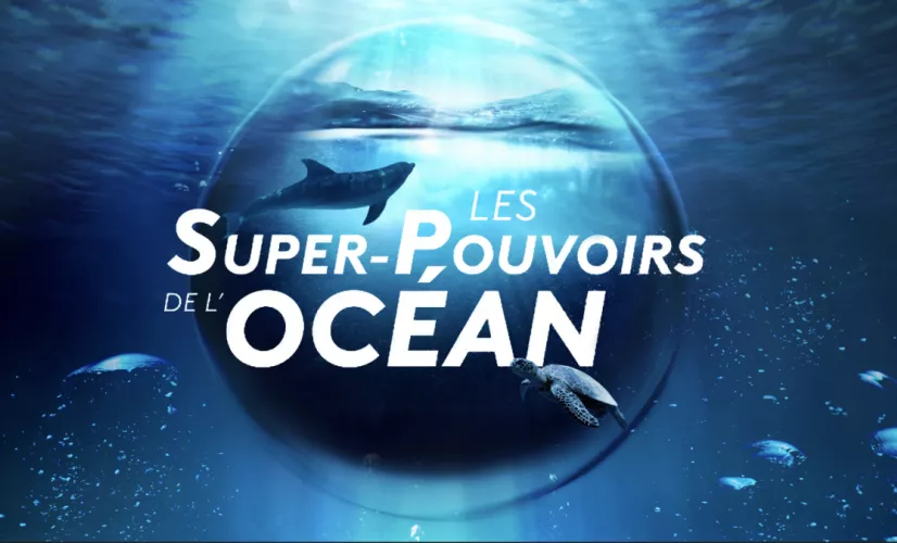 Les supers pouvoirs de l'océan Les supers pouvoirs de l'océan