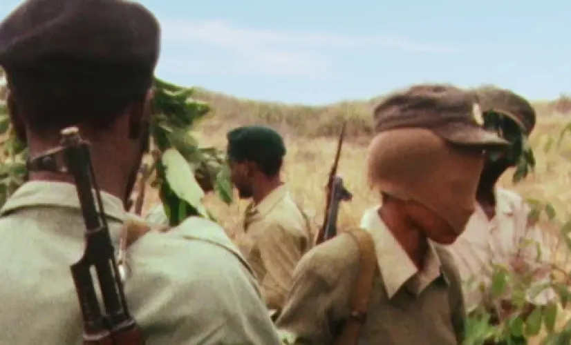 Documentaire : L'armée secrète de Mandela