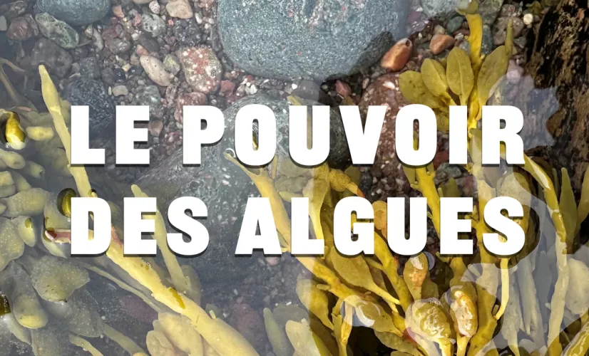 © SPM la 1ère