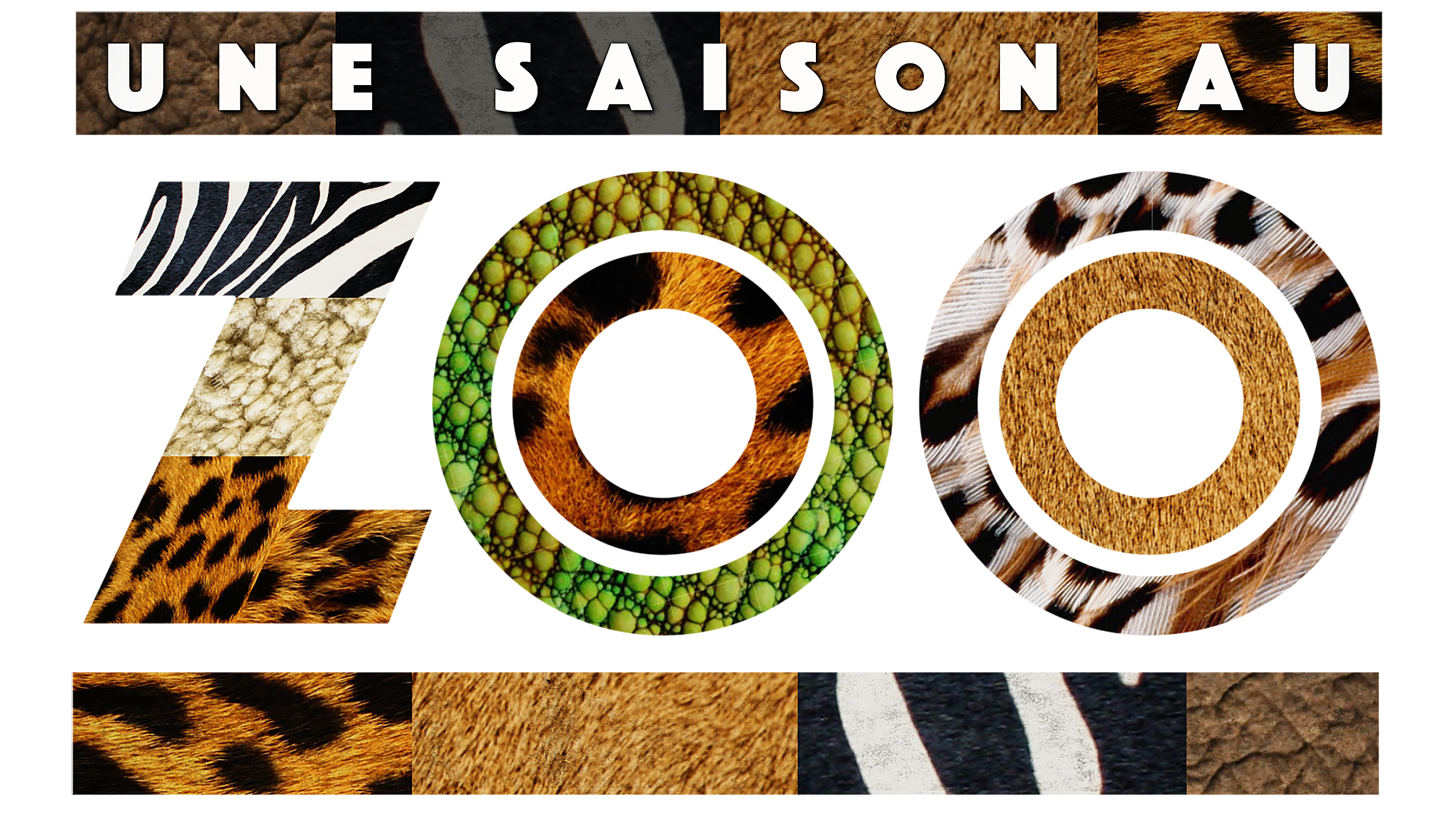 Logo Une saison au zoo Logo Une saison au zoo